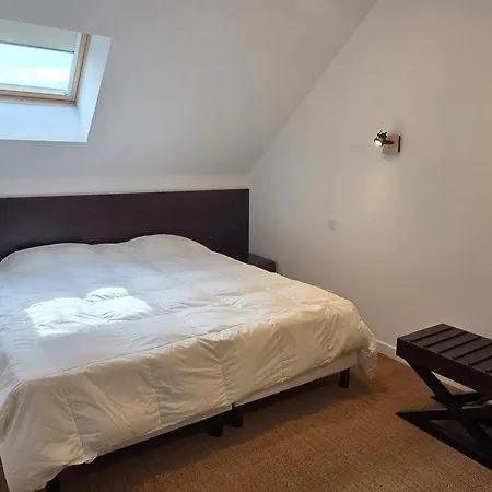 De Groupe Jusqu'a 36 Pers., Jardin Et Wifi - Fr-1-489-603 Louchy-Montfand