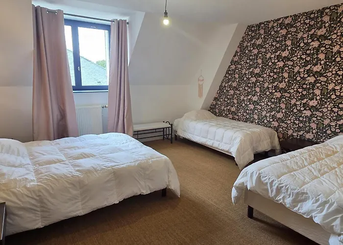 De Groupe Jusqu'a 36 Pers., Jardin Et Wifi - Fr-1-489-603 Louchy-Montfand