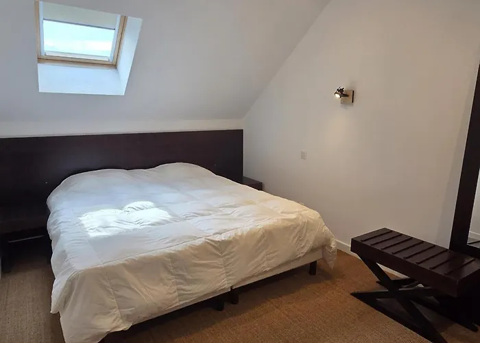 De Groupe Jusqu'a 36 Pers., Jardin Et Wifi - Fr-1-489-603 Louchy-Montfand